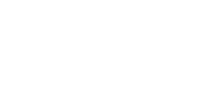 Dudley Council